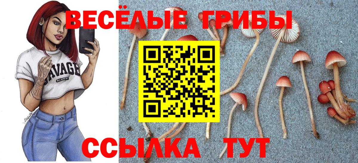 Галлюциногенные грибы GOLDEN TEACHER  Вход с VPN  Воронеж  Псилоцибиновые грибы MAGIC MUSHROOMS 