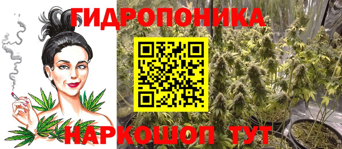 Канабис гибрид Воронеж